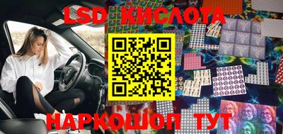 прущие грибы Обь