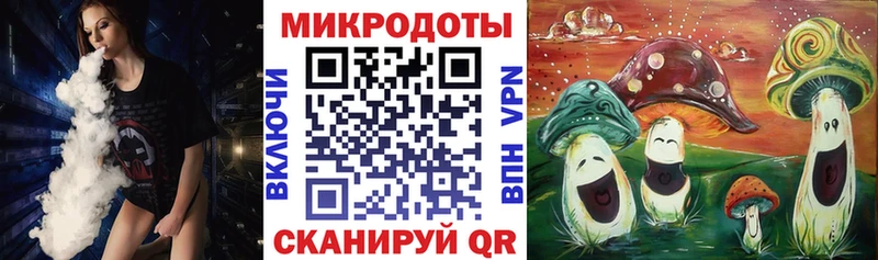 продажа наркотиков Сунжа МЕГА как войти Псилоцибиновые грибы ЛСД
