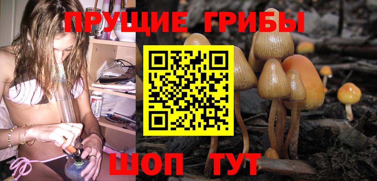 Псилоцибиновые грибы мухоморы Сунжа